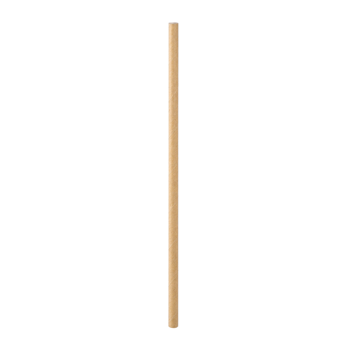 BioPak Craft Paper Straws (Pack of 20)