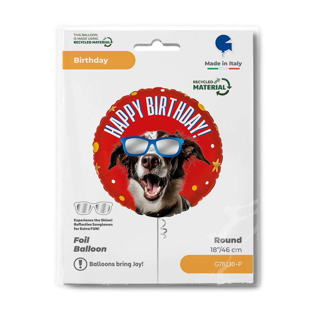 R18 Cool Doggy Birthday