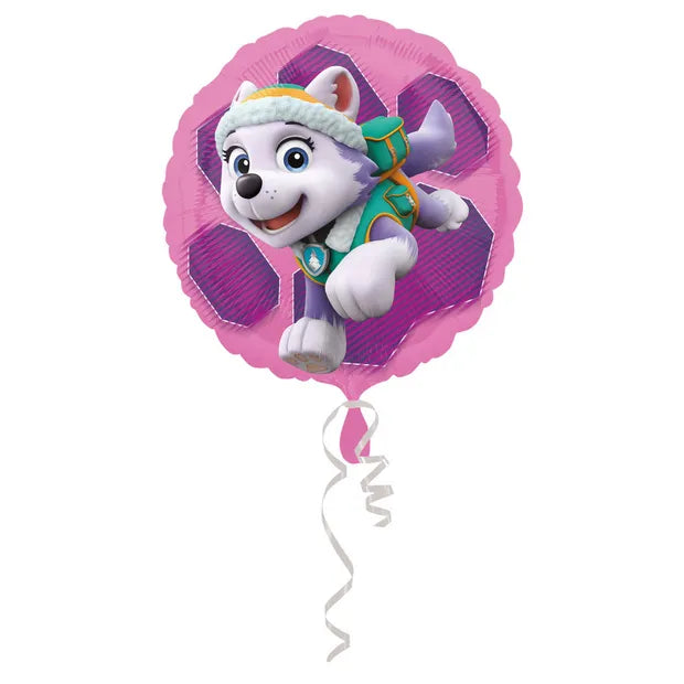 Paw Patrol Skye & Everest 18" M (W)