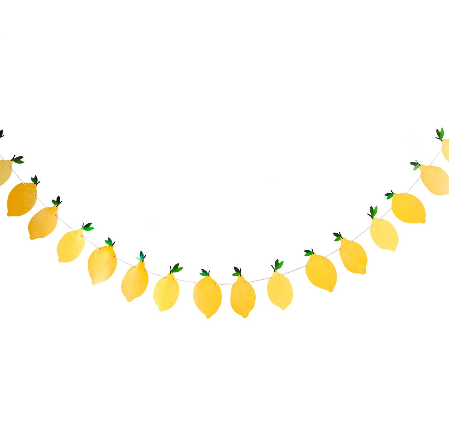 Lemon Card Garland 2.5m