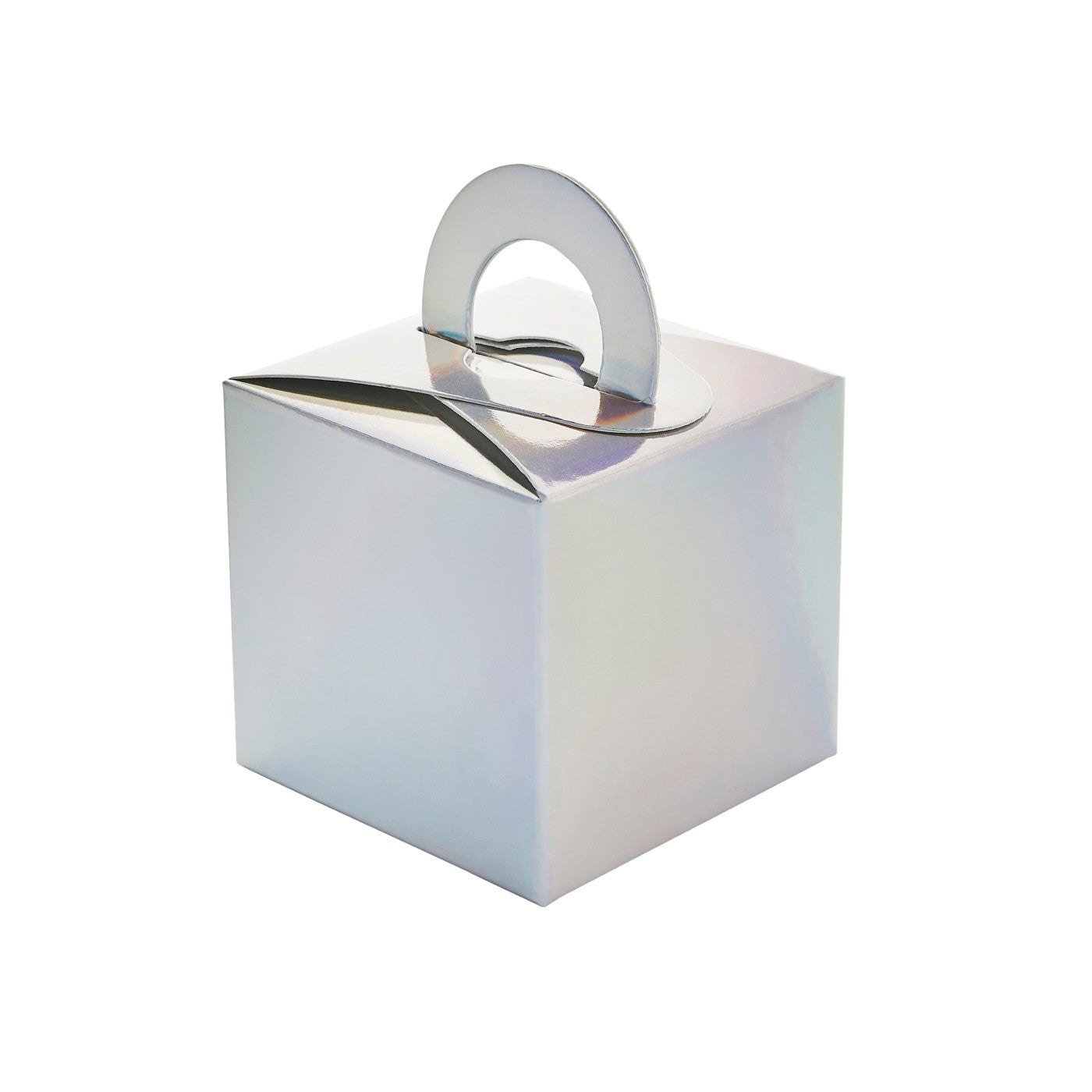 Iridescent Balloon Weight Box - Pack of 5
