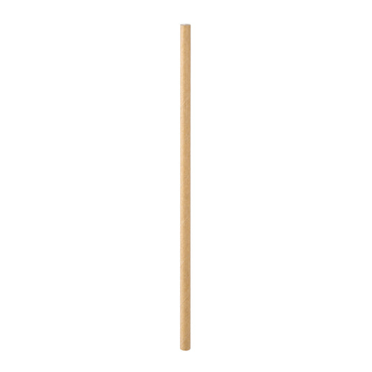 BioPak Craft Paper Straws (Pack of 20)