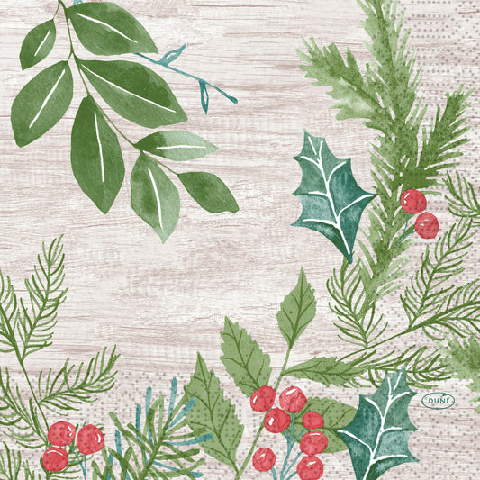 Bio Napkins Winter Greenery (Pack of 20)