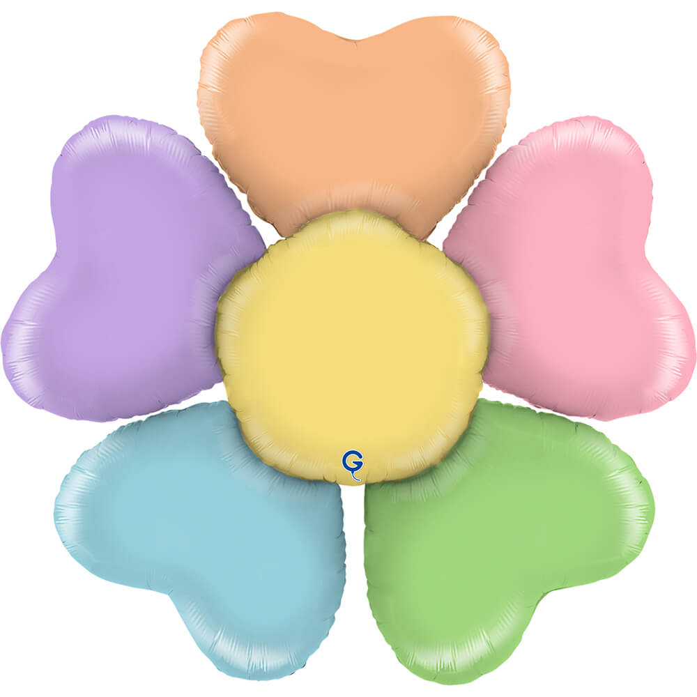 Colorful Daisy