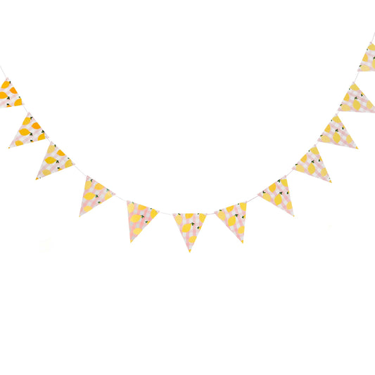 Lemon & Gingham Flag Card Bunting 2.5m