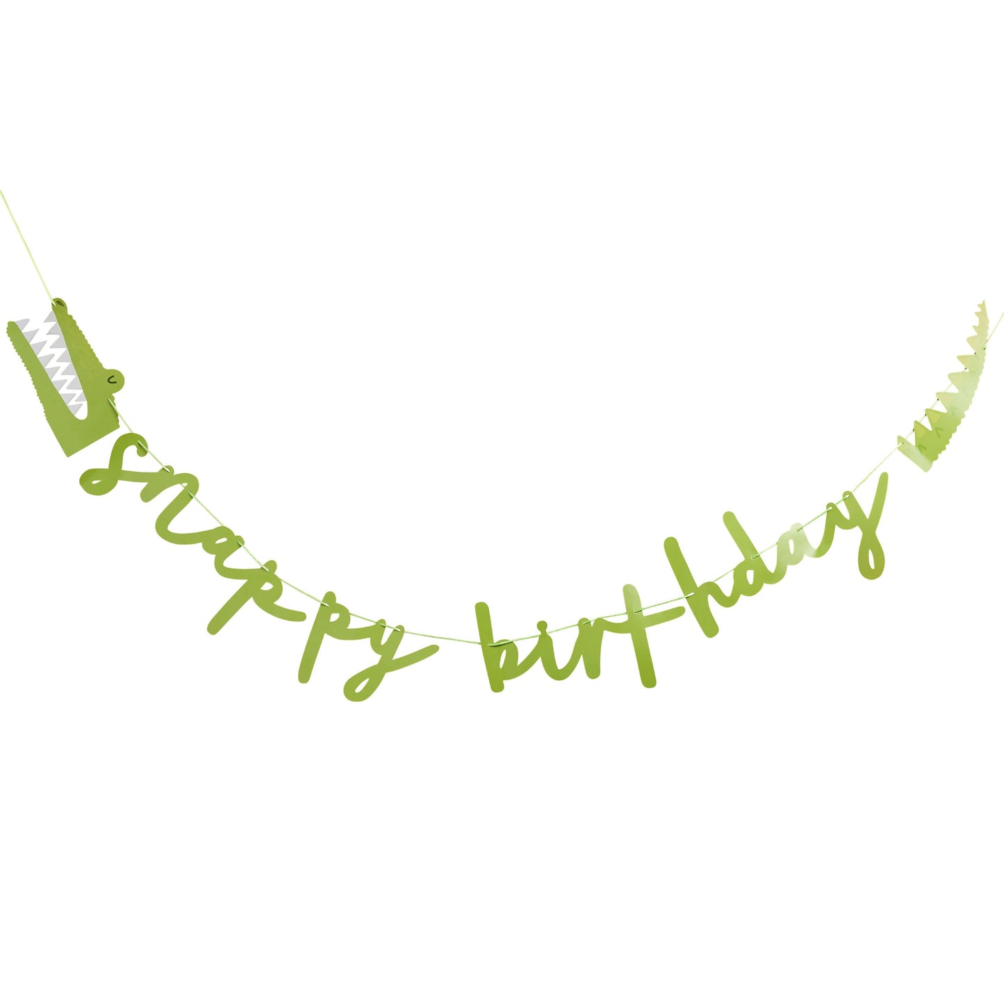 Green 'Snappy Birthday' Card Banner 2m