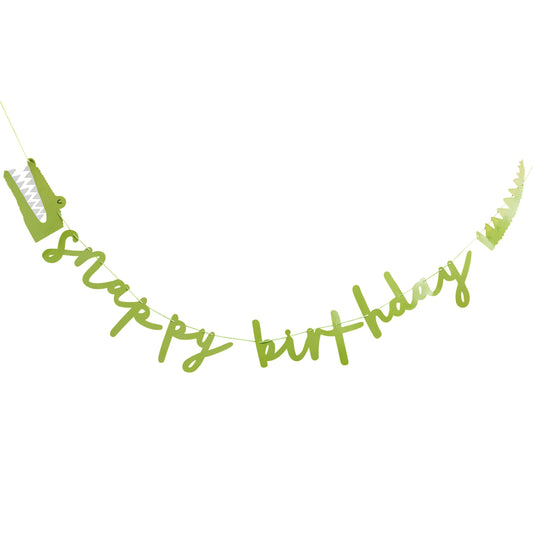 Green 'Snappy Birthday' Card Banner 2m
