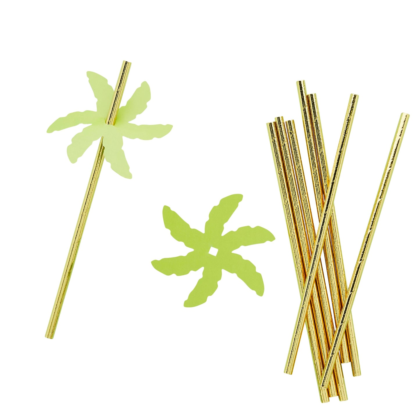 Tropic Palm Leaf Paper Straws - Pack of 24