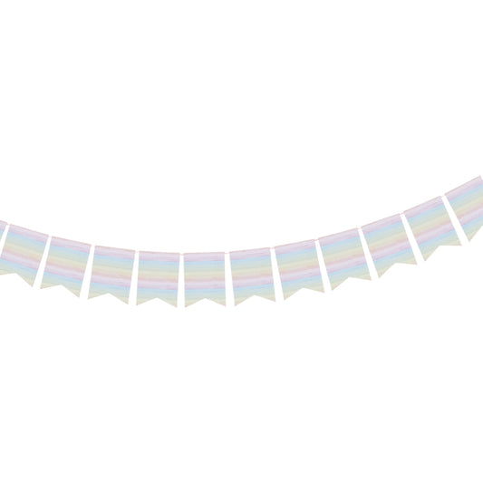 Eco Rainbow Flag Card Bunting 3m