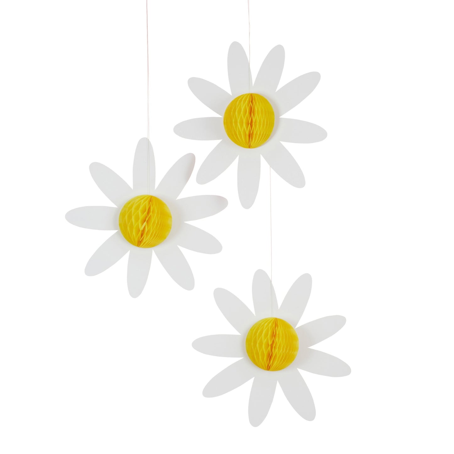 Daisy Honeycombs - Pack of 3