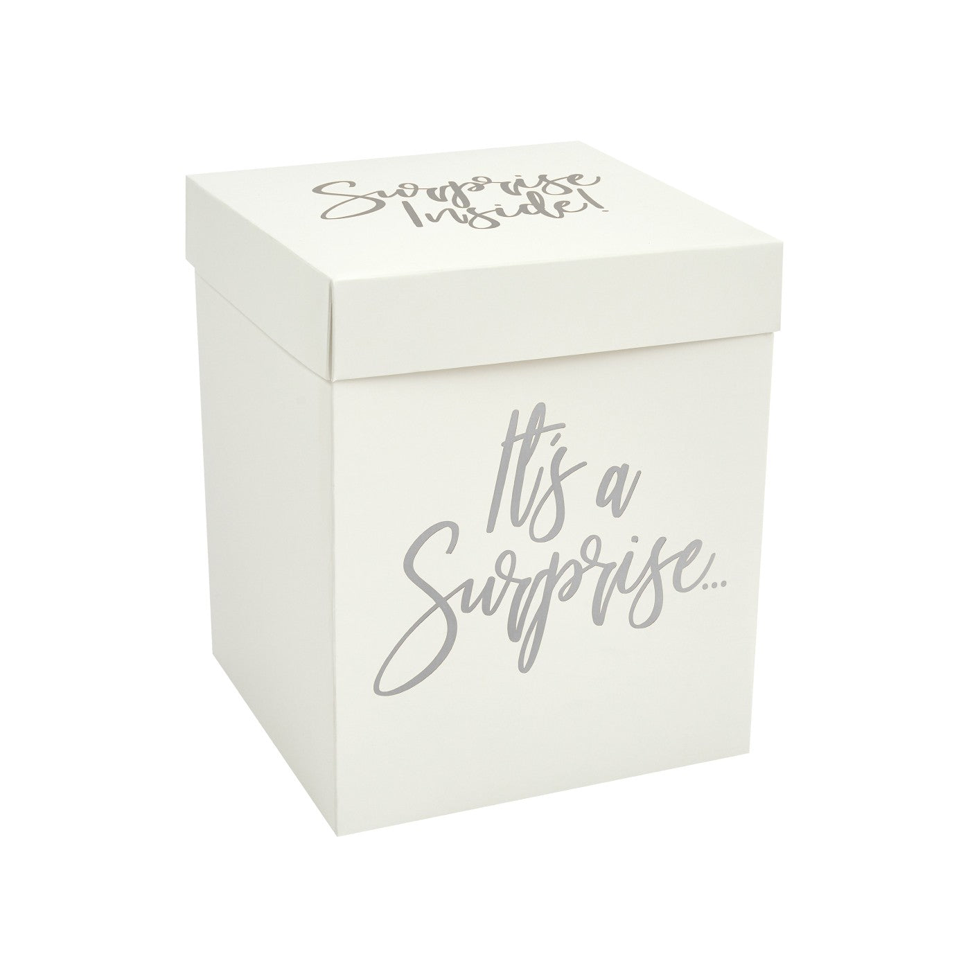 Silver Surprise In A Box Set