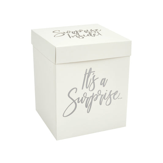 Silver Surprise In A Box Set