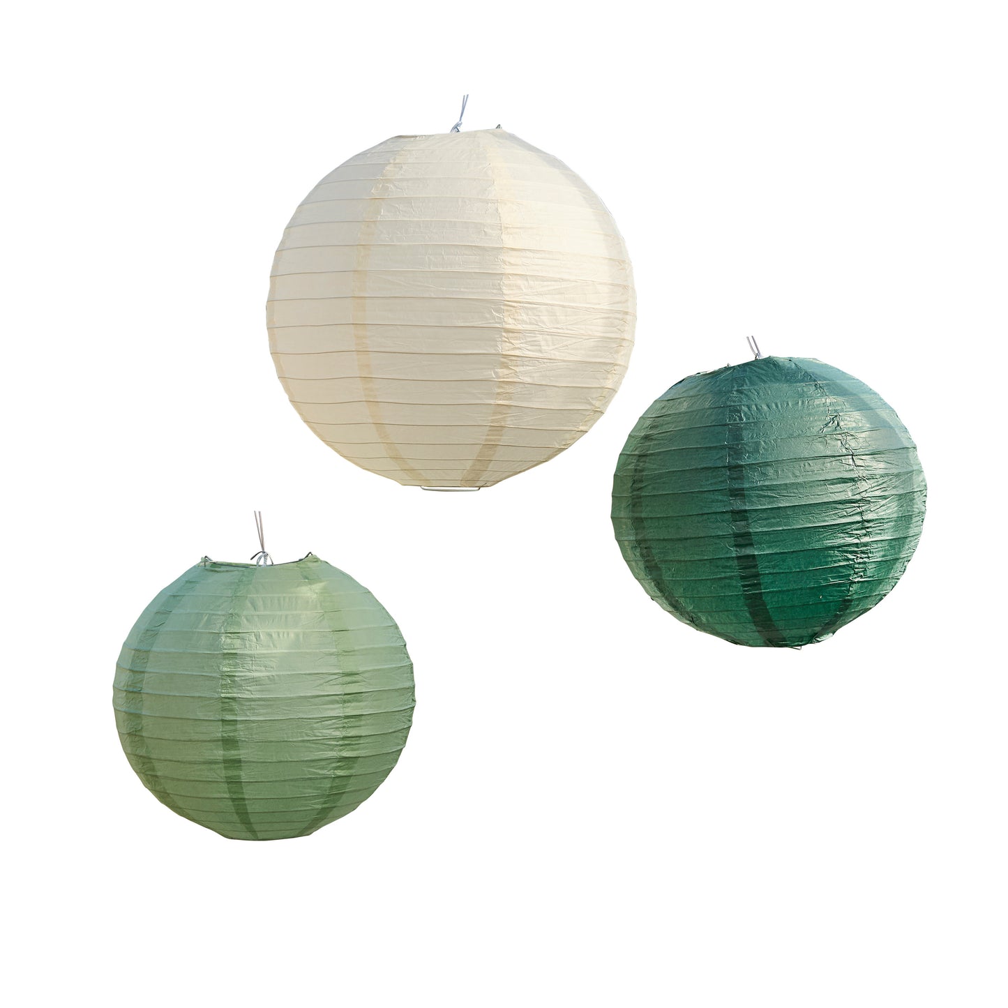 Botanical Paper Lantern Hanging Decorations - Pack of 3