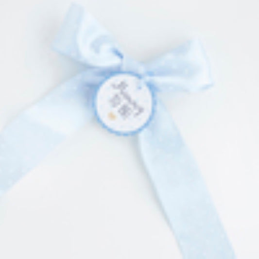 Blue Mummy To Be Ribbon Sash