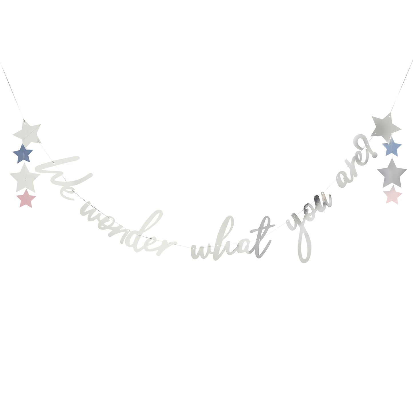 Silver 'We Wonder What You Are?' Card Banner 2m