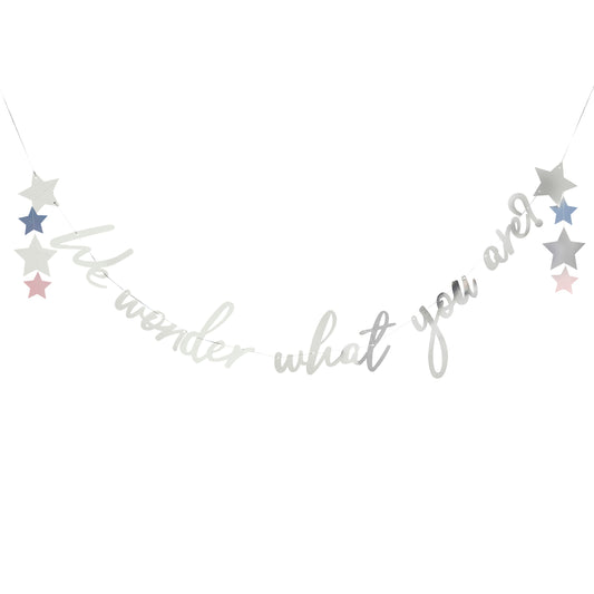 Silver 'We Wonder What You Are?' Card Banner 2m